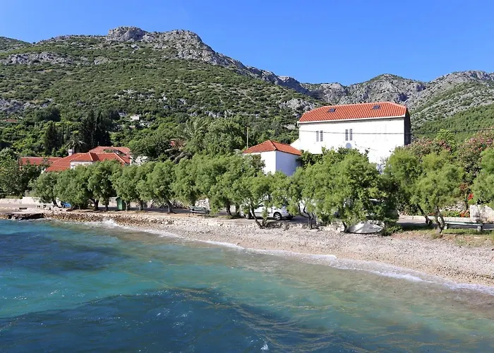 10140b * فيغاني