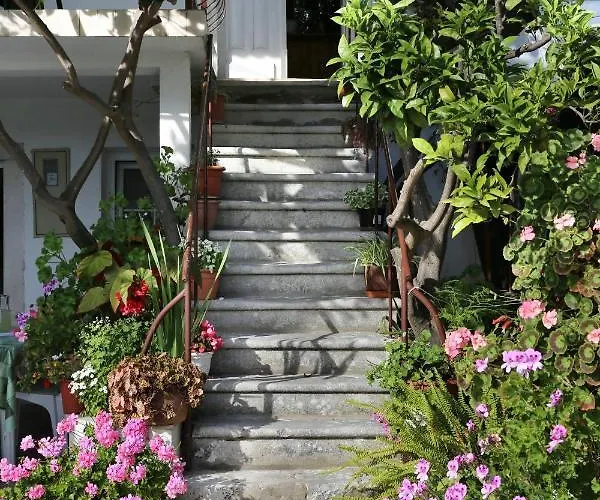 10140b * فيغاني