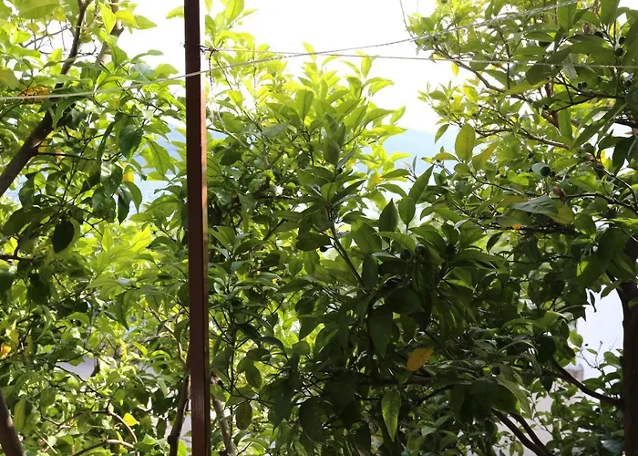 10140b Appartement Viganj