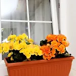 10140b Apartment *
