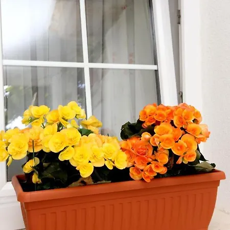 10140b Appartement *