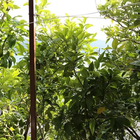 10140b Appartement Viganj